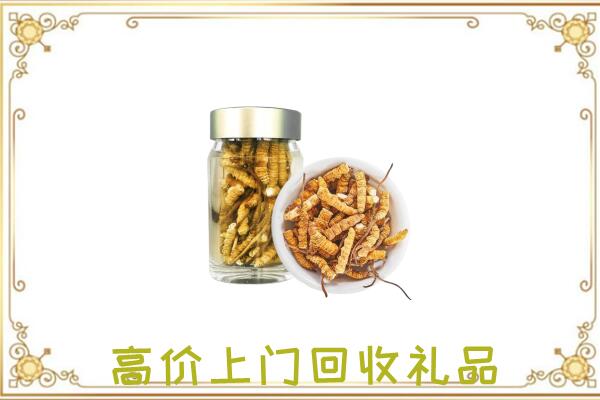 玉田周边回收虫草